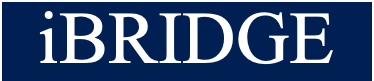 iBRIDGE Inc. | 組織変革・リーダーシップ開発